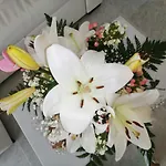 Sao Rafael Beach Flat 아파트 *